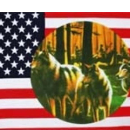 Flagge USA 3 Wölfe  im Format von 90 cm x 150 cm