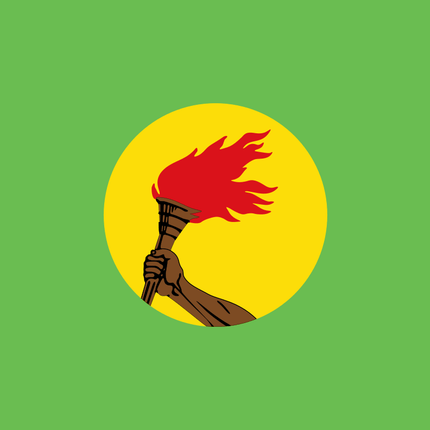 Fahne Zaire  90 cm x 150 cm