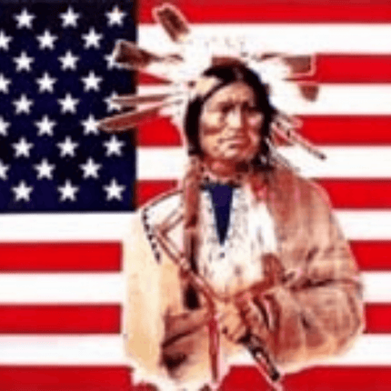 Flagge USA Indianer im Format von 90 cm x 150 cm