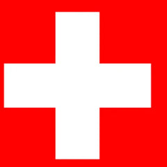 Schweizer Kantonsfahnen kaufen - Verschiedene Formate - Shop2.ch 