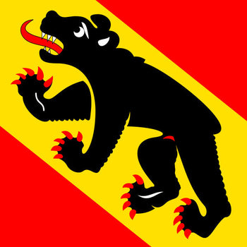 Berner Fahne kaufen
