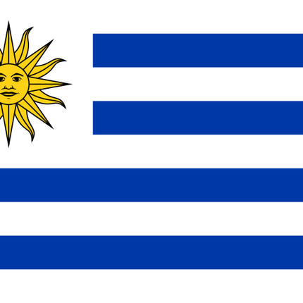 Fahne Uruguay  von 60 cm x 90 cm