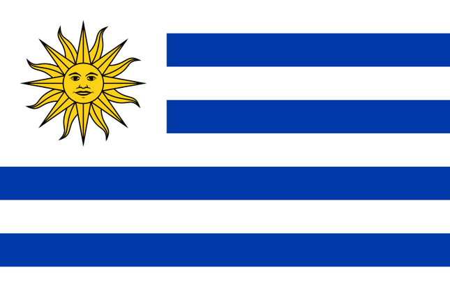 Fahne Uruguay  von 60 cm x 90 cm