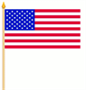 Stockfahne USA