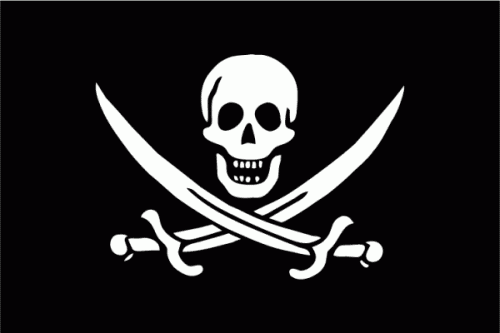 Pirat Flagge 90 x 150 cm - Hochwertiger UV-beständiger Polyesterstoff mit Metallösen - Shop2.ch 
