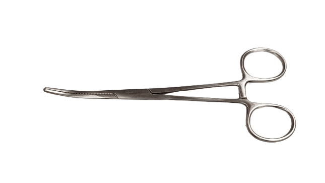 Arterienklemme 24 cm, ROCHESTER-PEAN, gebogen