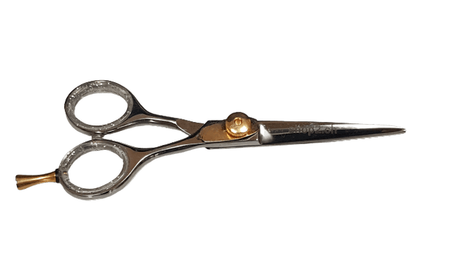 Haarschere Profi 5" aus hochwertigem rostfreiem Edelstahl mit mattem Finish, ideal für professionelle Anwendungen und Pflege.