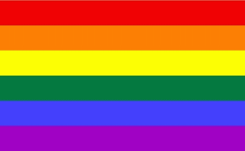 Regenbogen Fahne 90x150 cm aus 100% Polyester - UV-beständige Farben mit Metallösen - Shop2.ch 