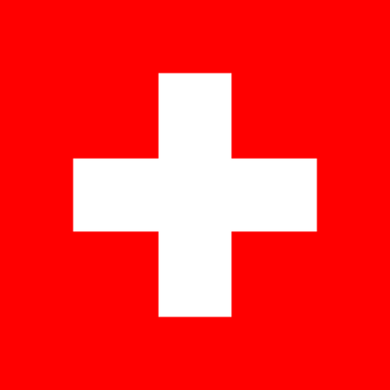 Fahne Schweiz 60 cm x 60 cm