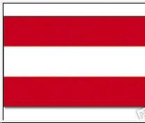 Österreich Fahne 90 x 150 cm aus 100% Polyester – Hochwertige Flagge für Innen und Außen, perfekt für Festlichkeiten und Sportveranstaltungen, mit UV-beständigem Farbdruck.