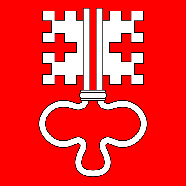 Fahne Kanton Nidwalden 60x60 cm – Hochwertige Flagge für Ihr Zuhause oder Büro, ideal für festliche Anlässe und regionalen Stolz.