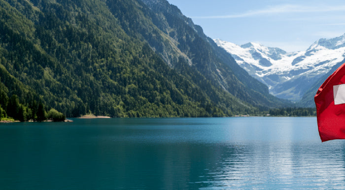 <h1>Acquista bandiere cantonali svizzere - Vari formati</h1>