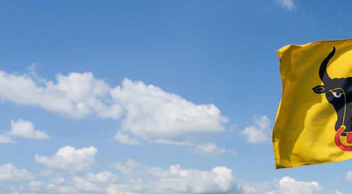 <h1><strong>Schweizer Kantonsfahnen kaufen</strong></h1>