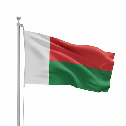 Madagaskar Flagge 90x150 cm - Wetterfest & Authentisch